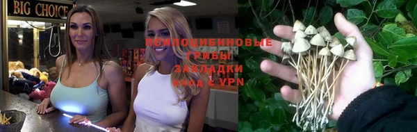 марки nbome Пересвет