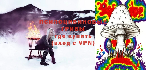 прущие крисы Билибино
