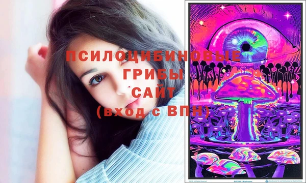 марки nbome Пересвет