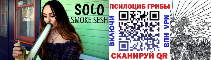 закладка  Нерчинск  Галлюциногенные грибы MAGIC MUSHROOMS 
